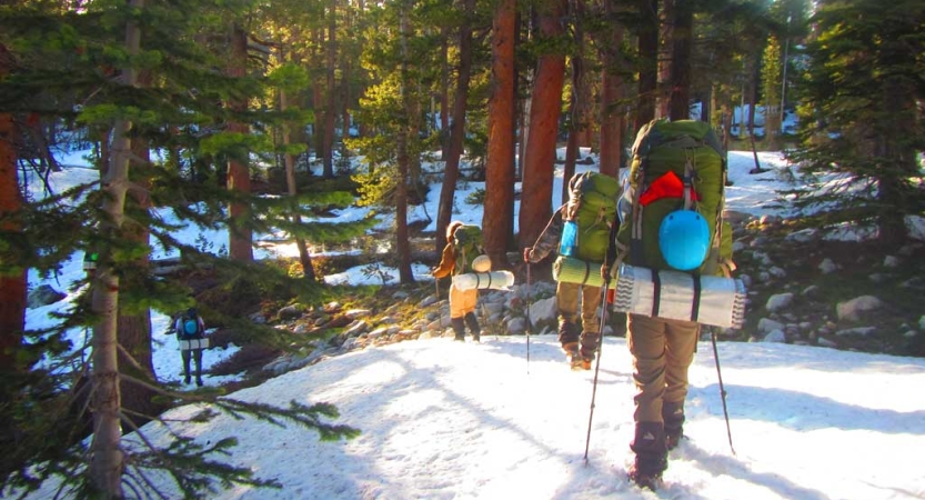 A group of young people wearing backpacks hike over snow through a wooded area. 